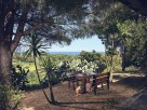 3 Bedroom Cottages on a Farm Estate near the Sea in Zakynthos, Ionian Islands, Greece